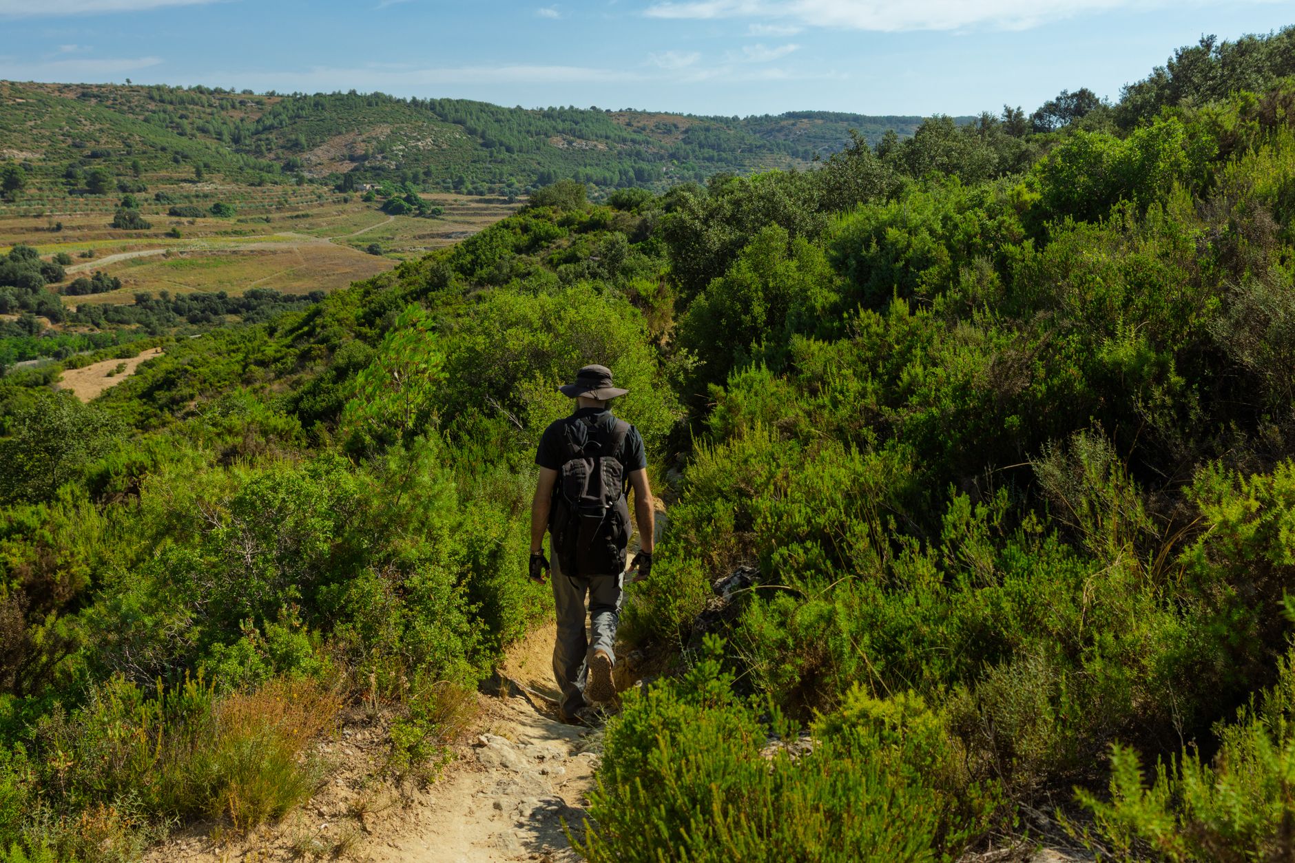 Which Camino de Santiago Guidebook Is Right for You?