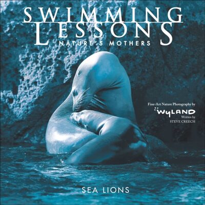 Swimming Lessons : Nature's Mothers--Sea Lions book cover
