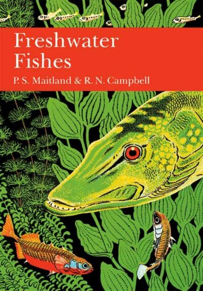 British Freshwater Fish : 75