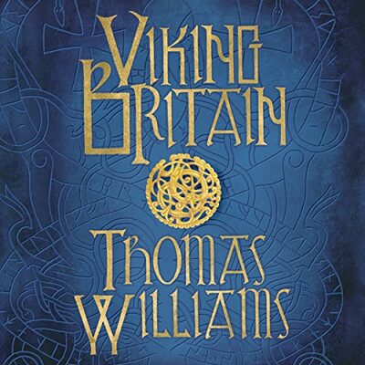 Viking Britain: A History