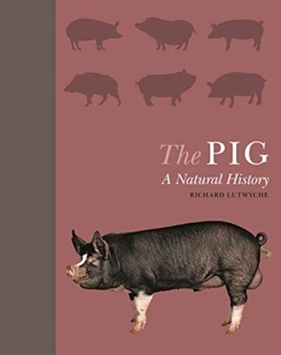The Pig : A Natural History book cover