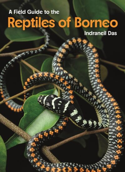 Field Guide to the Reptiles of Borneo book cover