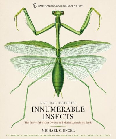 Innumerable Insects : The Story of the Most Diverse and Myriad Animals on Earth book cover