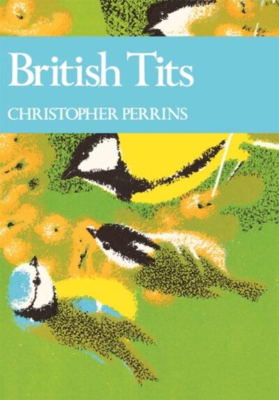 British Tits : 62
