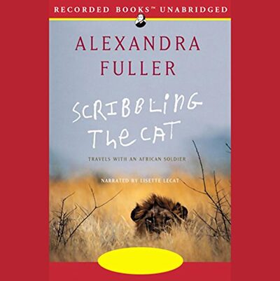 Scribbling the Cat