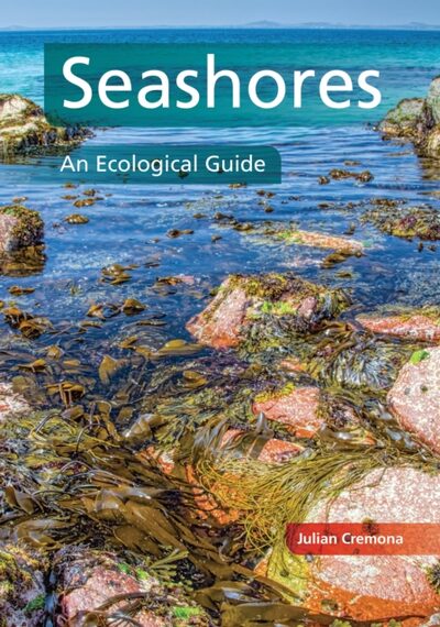 Seashores : An Ecological Guide