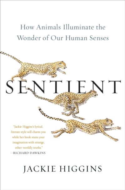 Sentient : How Animals Illuminate the Wonder of Our Human Senses book cover