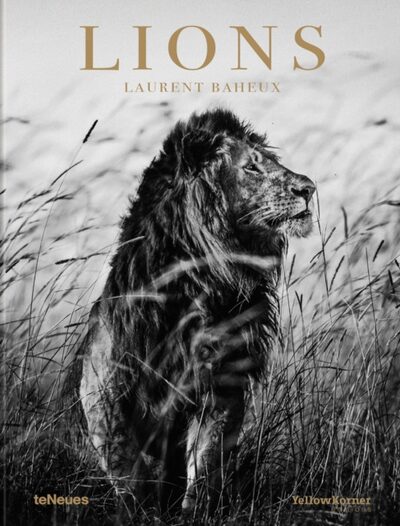 Lions