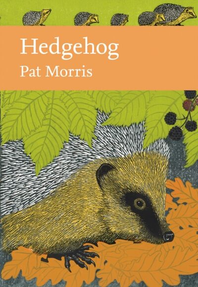 Hedgehog : 137