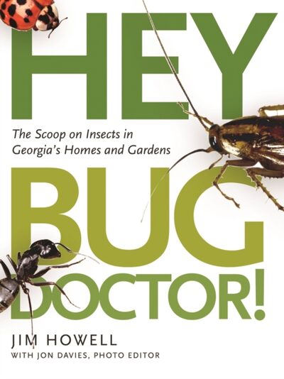 Hey, Bug Doctor! : The Scoop on Insects in Georgia's Homes and Gardens book cover
