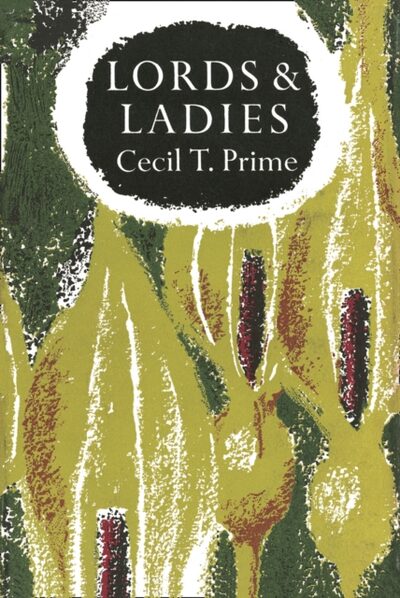 Lords & Ladies : 17 book cover