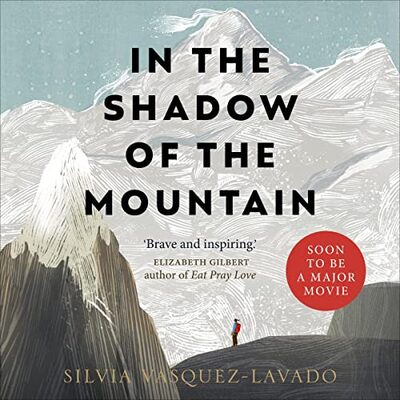In the Shadow of the Mountain