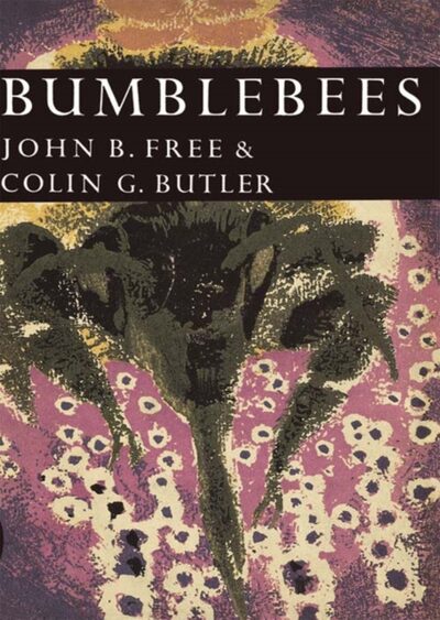 Bumblebees book cover