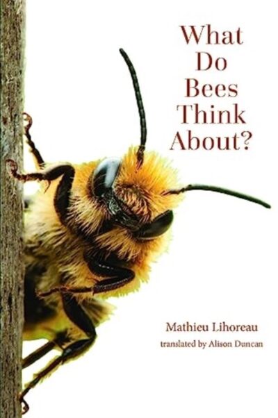 What Do Bees Think About? book cover