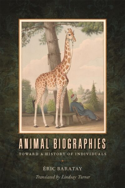 Animal Biographies : Toward a History of Individuals book cover