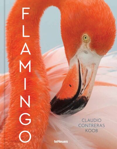 Flamingo book cover