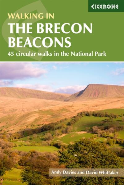 Walking in the Brecon Beacons : 45 circular walks in the National Park book cover