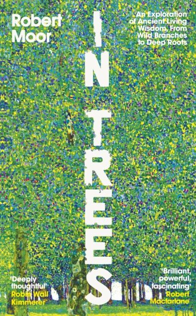 In Trees : An Exploration of Ancient Living Wisdom, From Wild Branches to Deep Roots book cover