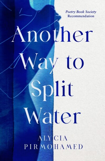 Another Way to Split Water book cover