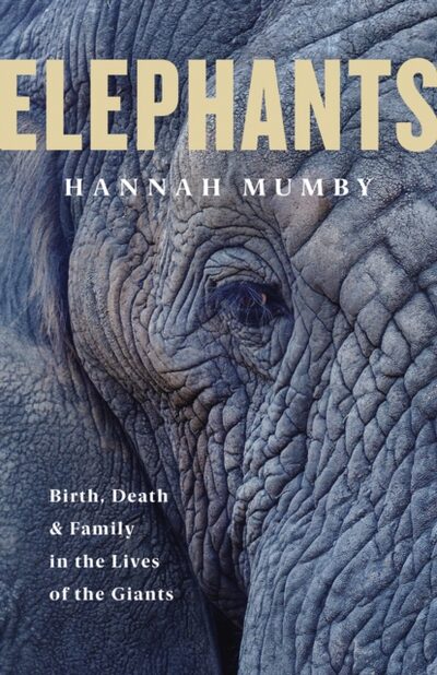 Elephants book cover