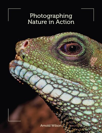 Photographing Nature in Action book cover