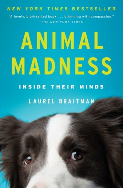 Animal Madness : Inside Their Minds book cover