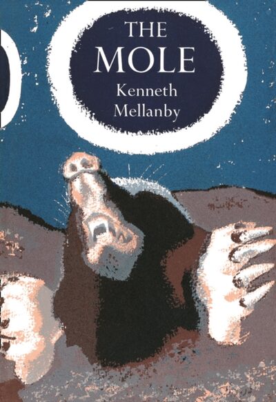 The Mole : 22