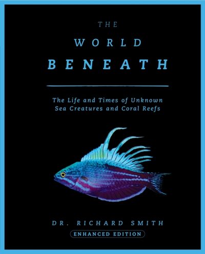 The World Beneath : The Life and Times of Unknown Sea Creatures and Coral Reefs book cover