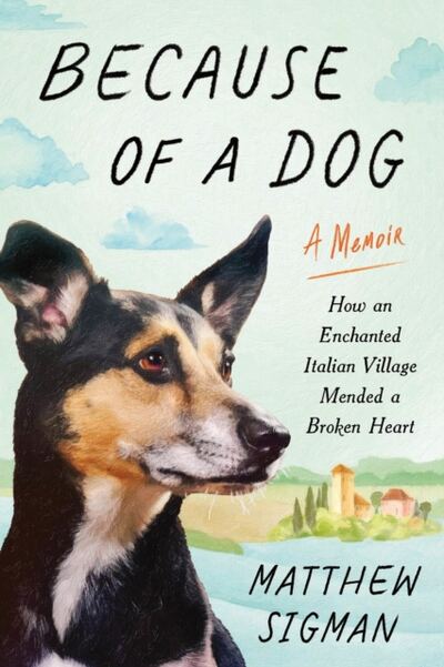 Because of a Dog : How an Enchanted Italian Village Mended a Broken Heart book cover