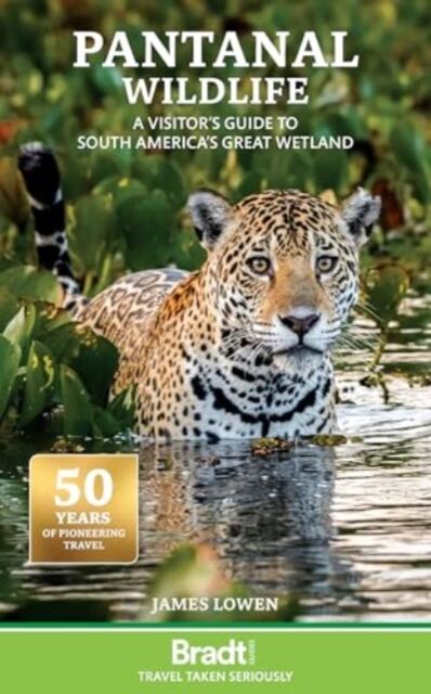 Pantanal Wildlife : A Visitor's Guide to South America's Great Wetland