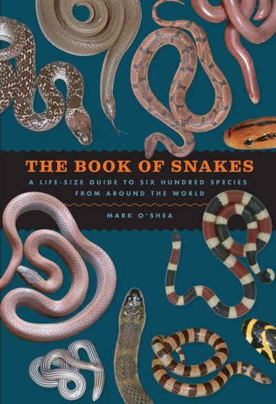 The Book of Snakes : A Life-Size Guide to Six Hundred Species from Around the World book cover