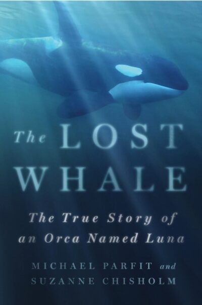 Lost Whale : The True Story of an Orca Named Luna
