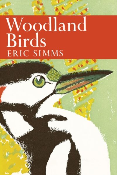 Woodland Birds : 52