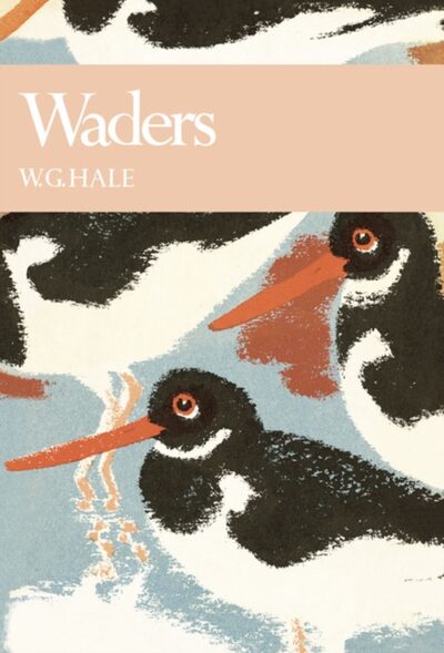 Waders : 65