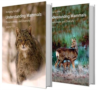 Understanding Mammals : Threefoldness and Diversity: Volumes 1 and 2