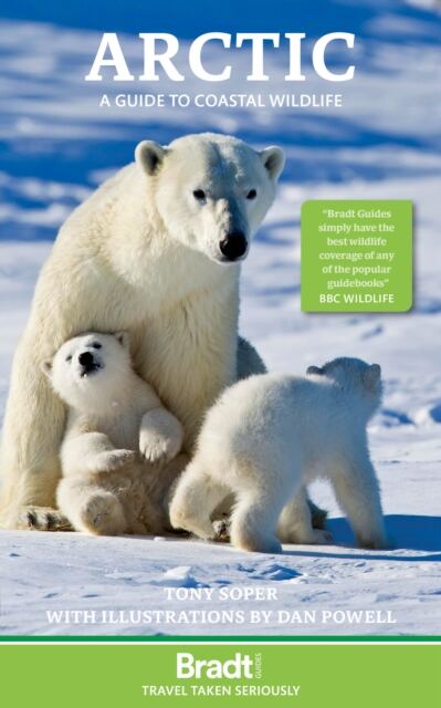 Arctic : A guide to coastal wildlife book cover