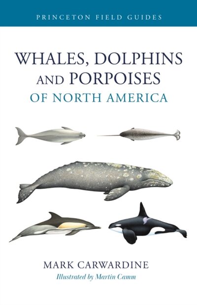 Whales, Dolphins, and Porpoises of North America book cover