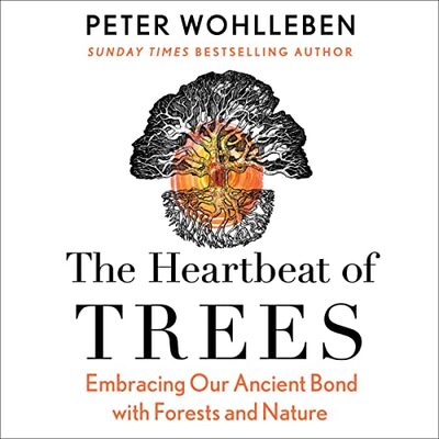 The Heartbeat of Trees