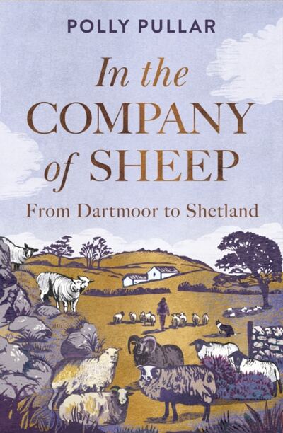 In the Company of Sheep : From Dartmoor to Shetland book cover