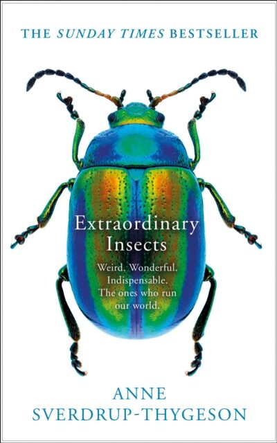 Extraordinary Insects book cover