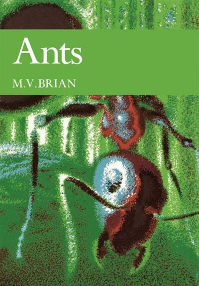 Ants book cover