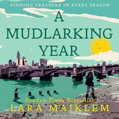 A Mudlarking Year