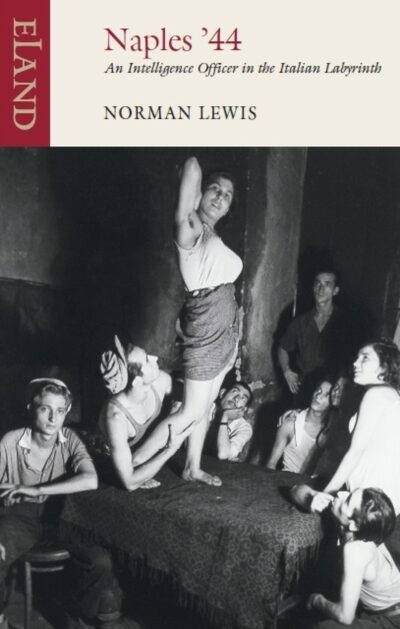 Naples '44 : An Intelligence Officer in the Italian Labyrinth