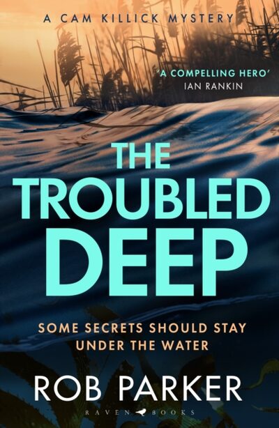 The Troubled Deep : 'The most brilliant Norfolk-set thriller since Elly Griffiths' Ruth Galloway books' Daily Mirror book cover
