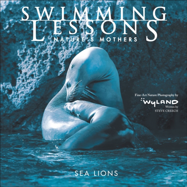Swimming Lessons : Nature's Mothers--Sea Lions