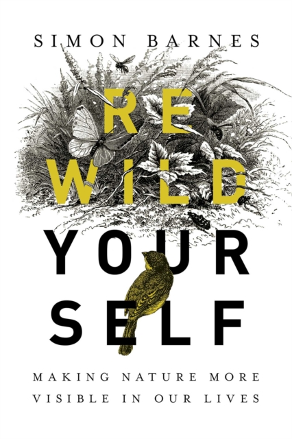 Rewild Yourself : Making Nature More Visible in our Lives