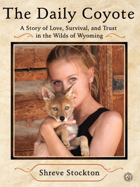 Daily Coyote : A Story of Love, Survival, and Trust in the Wilds of Wyoming