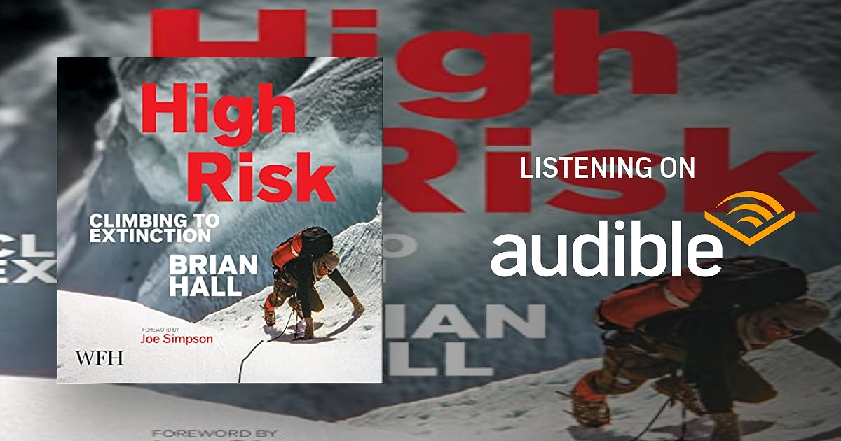 High Risk book cover