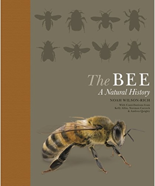 The Bee : A Natural History
