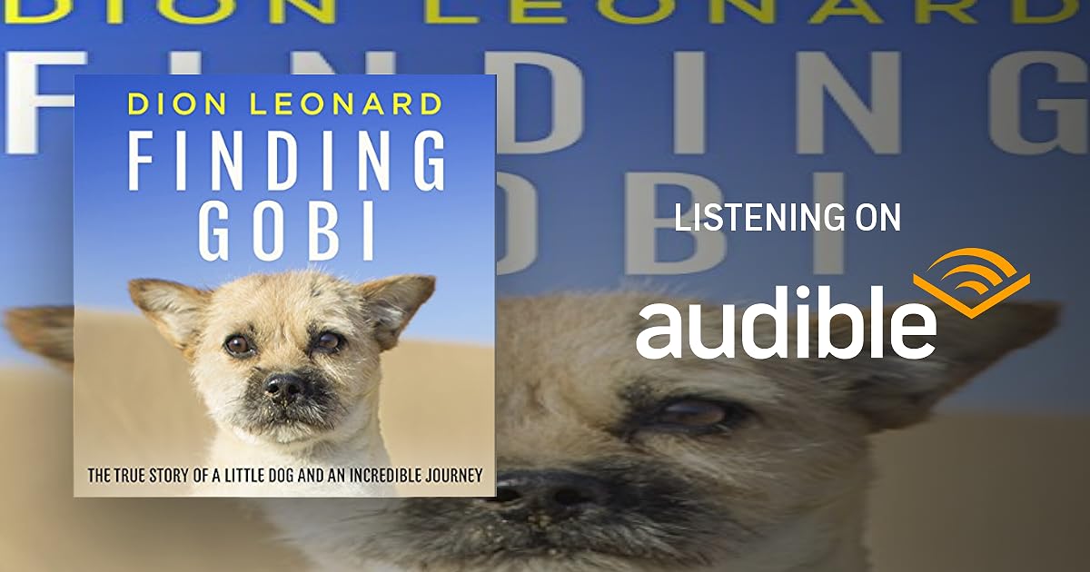Finding Gobi (Main edition): The true story of a little dog and an incredible journey book cover